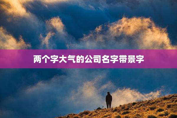 两个字大气的公司名字带景字