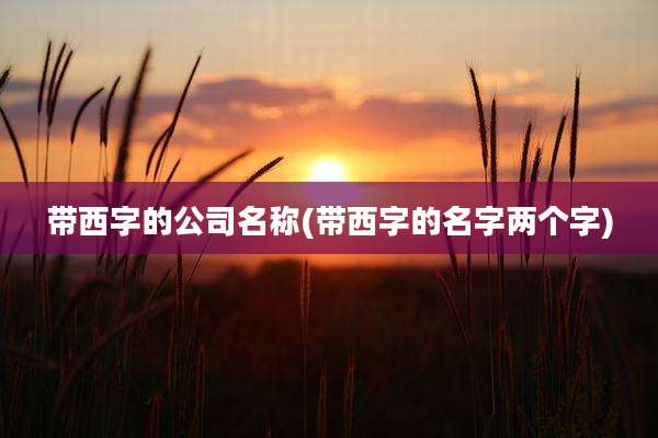 带西字的公司名称(带西字的名字两个字)