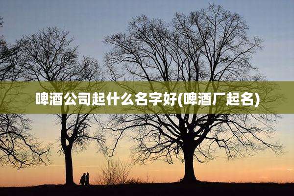 啤酒公司起什么名字好(啤酒厂起名)