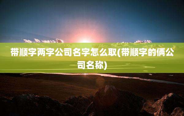带顺字两字公司名字怎么取(带顺字的俩公司名称)