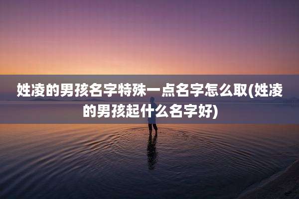 姓凌的男孩名字特殊一点名字怎么取(姓凌的男孩起什么名字好)