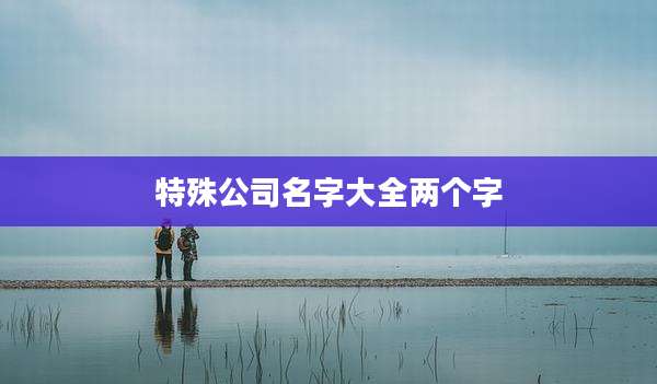 特殊公司名字大全两个字