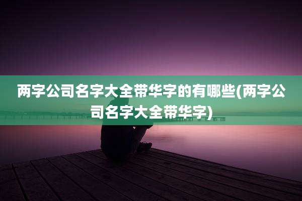 两字公司名字大全带华字的有哪些(两字公司名字大全带华字)