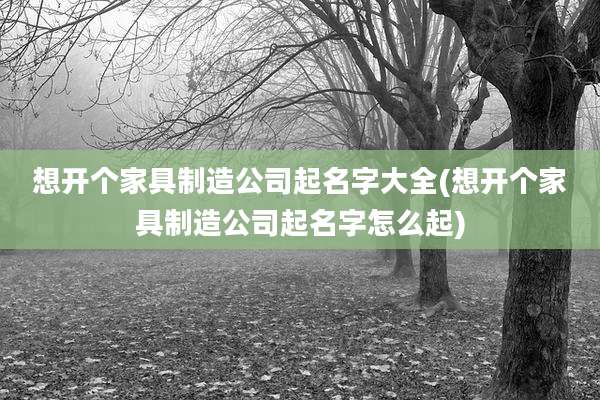 想开个家具制造公司起名字大全(想开个家具制造公司起名字怎么起)