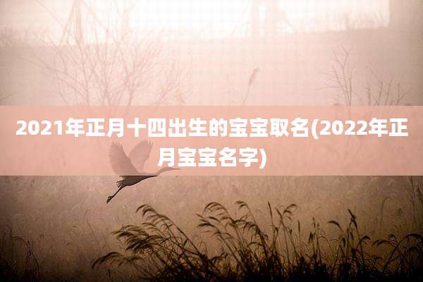 2021年正月十四出生的宝宝取名(2022年正月宝宝名字)