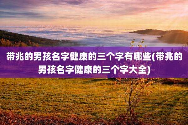 带兆的男孩名字健康的三个字有哪些(带兆的男孩名字健康的三个字大全)