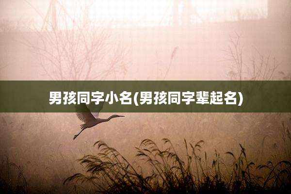 男孩同字小名(男孩同字辈起名)