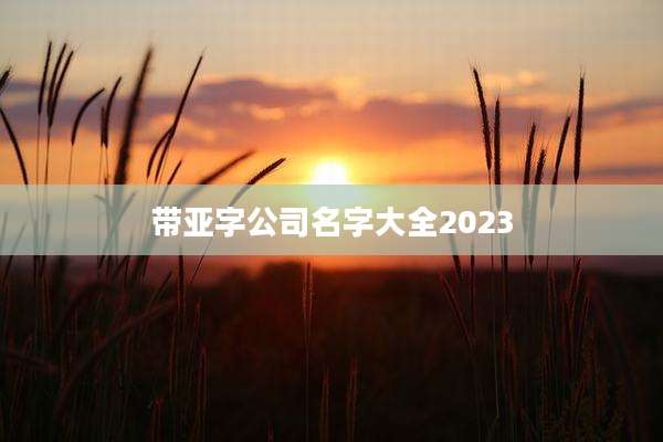 带亚字公司名字大全2023