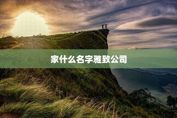 家什么名字雅致公司