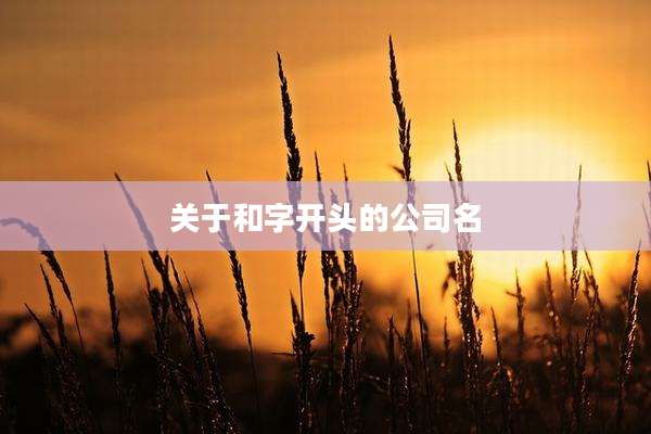 关于和字开头的公司名