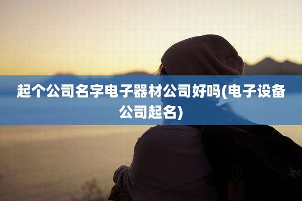 起个公司名字电子器材公司好吗(电子设备公司起名)