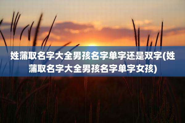 姓蒲取名字大全男孩名字单字还是双字(姓蒲取名字大全男孩名字单字女孩)