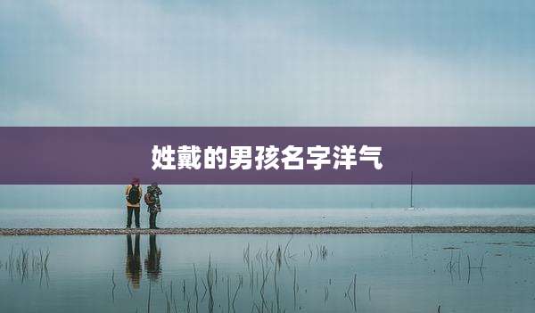 姓戴的男孩名字洋气