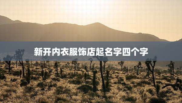 新开内衣服饰店起名字四个字