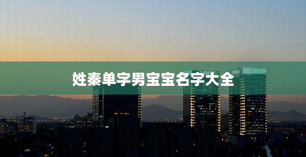 姓秦单字男宝宝名字大全