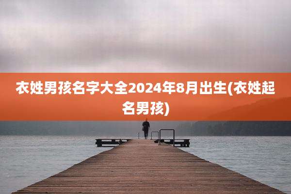衣姓男孩名字大全2024年8月出生(衣姓起名男孩)