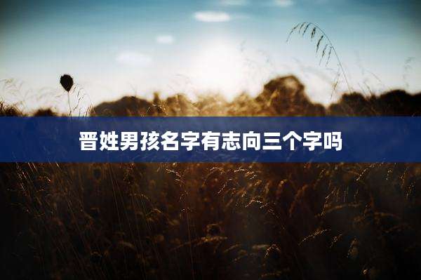 晋姓男孩名字有志向三个字吗