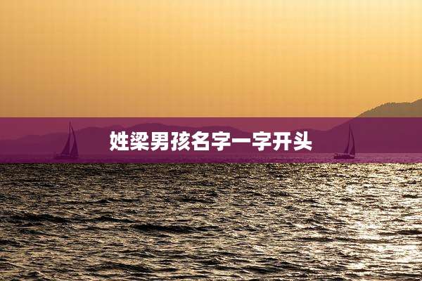 姓梁男孩名字一字开头