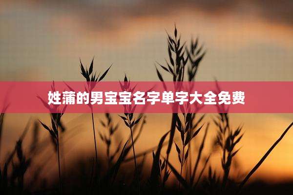 姓蒲的男宝宝名字单字大全免费