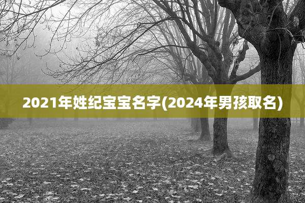 2021年姓纪宝宝名字(2024年男孩取名)