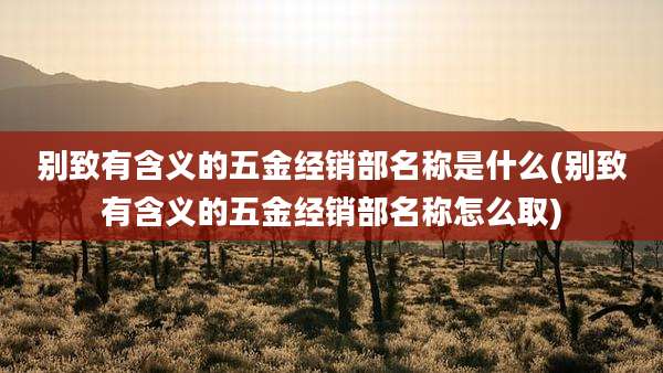 别致有含义的五金经销部名称是什么(别致有含义的五金经销部名称怎么取)