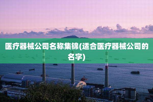 医疗器械公司名称集锦(适合医疗器械公司的名字)