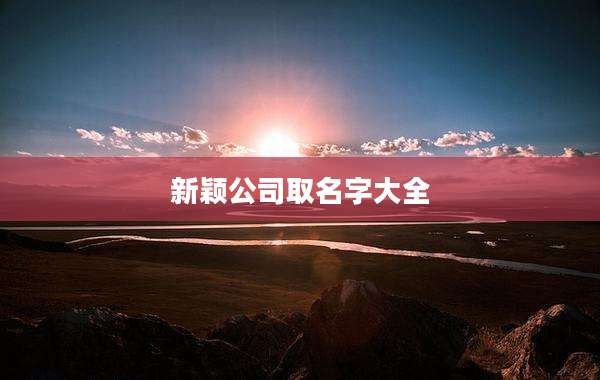 新颖公司取名字大全