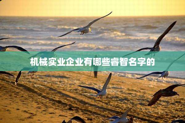 机械实业企业有哪些睿智名字的