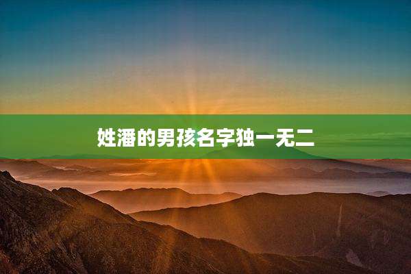 姓潘的男孩名字独一无二