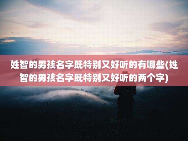 姓智的男孩名字既特别又好听的有哪些(姓智的男孩名字既特别又好听的两个字)
