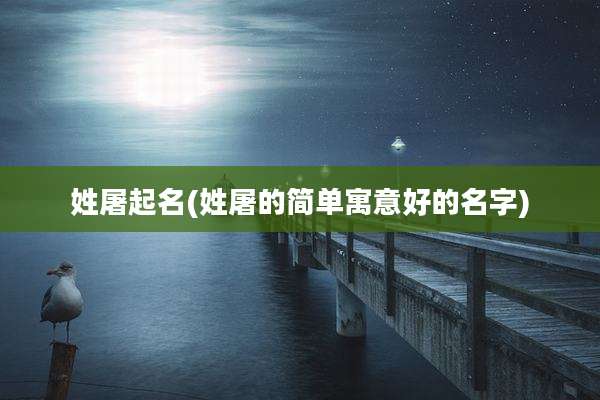 姓屠起名(姓屠的简单寓意好的名字)