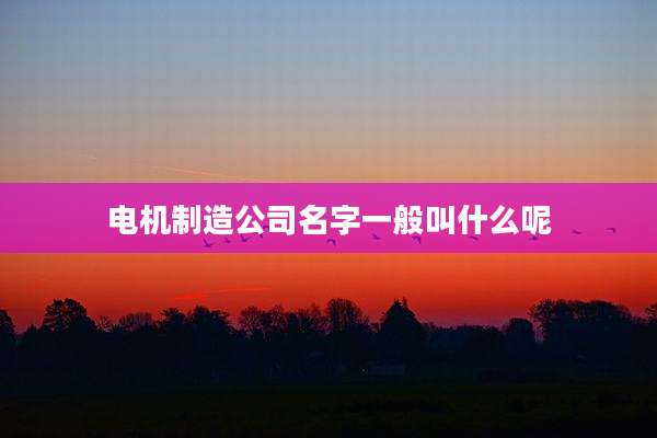 电机制造公司名字一般叫什么呢