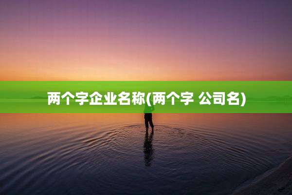 两个字企业名称(两个字 公司名)