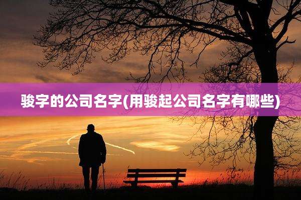 骏字的公司名字(用骏起公司名字有哪些)