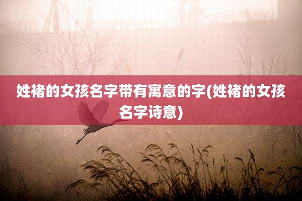 姓褚的女孩名字带有寓意的字(姓褚的女孩名字诗意)