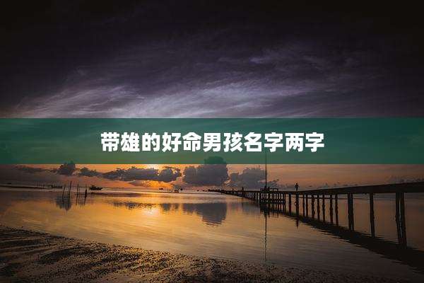 带雄的好命男孩名字两字