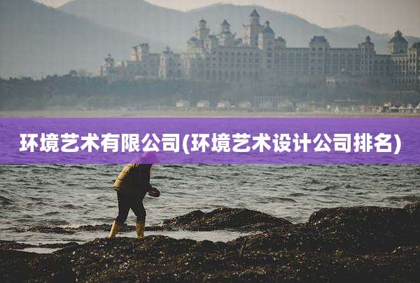 环境艺术有限公司(环境艺术设计公司排名)