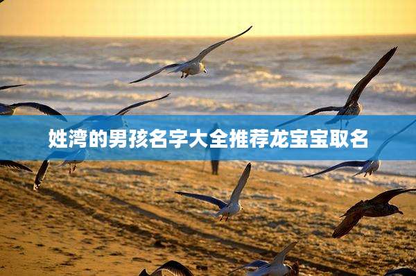 姓湾的男孩名字大全推荐龙宝宝取名
