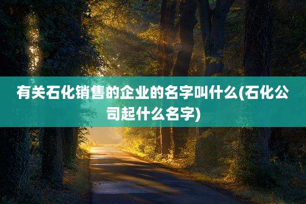 有关石化销售的企业的名字叫什么(石化公司起什么名字)
