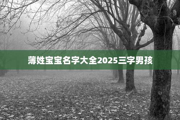 薄姓宝宝名字大全2025三字男孩