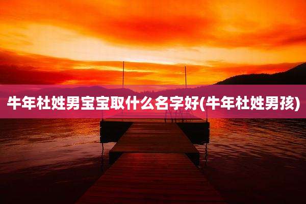 牛年杜姓男宝宝取什么名字好(牛年杜姓男孩)