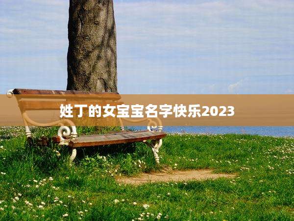 姓丁的女宝宝名字快乐2023