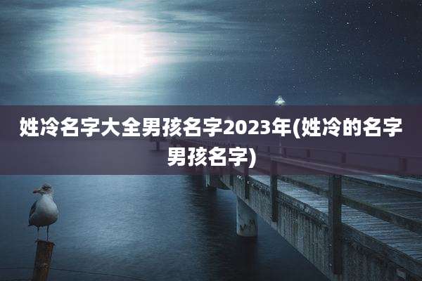 姓冷名字大全男孩名字2023年(姓冷的名字男孩名字)
