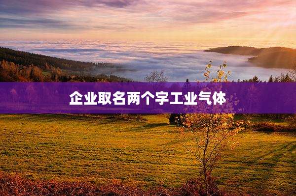 企业取名两个字工业气体