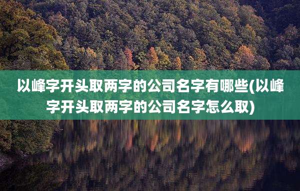 以峰字开头取两字的公司名字有哪些(以峰字开头取两字的公司名字怎么取)
