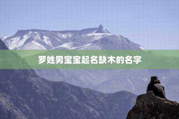 罗姓男宝宝起名缺木的名字