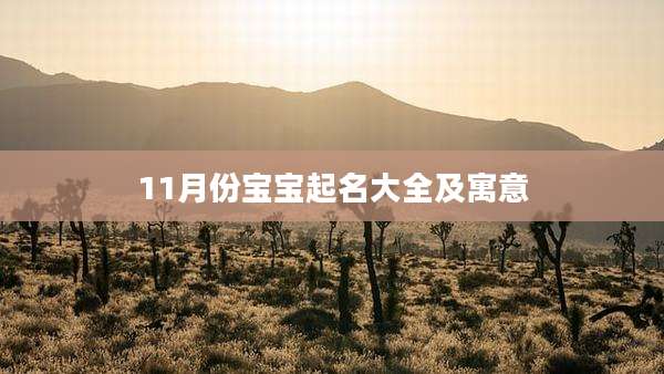 11月份宝宝起名大全及寓意