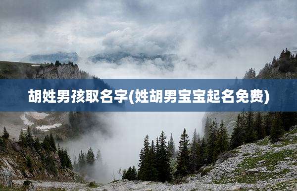 胡姓男孩取名字(姓胡男宝宝起名免费)