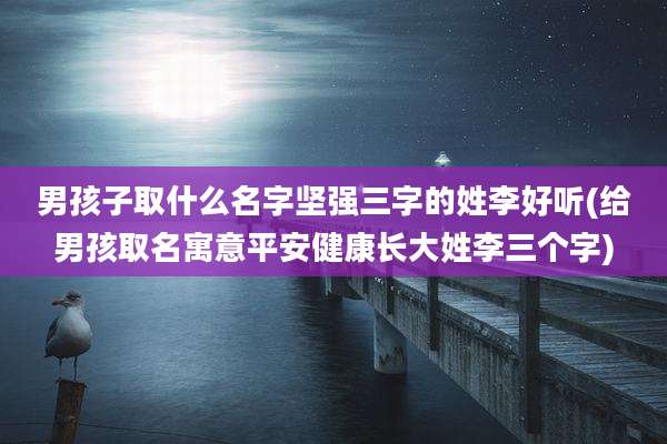 男孩子取什么名字坚强三字的姓李好听(给男孩取名寓意平安健康长大姓李三个字)