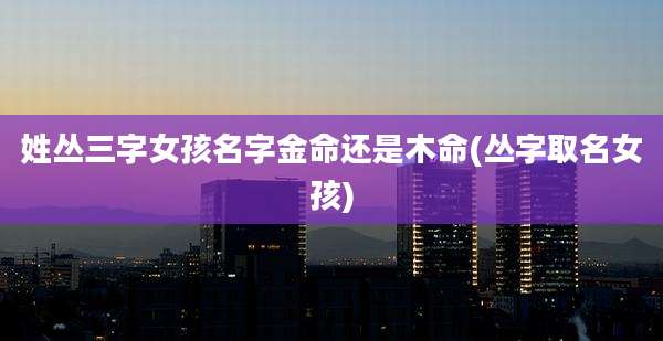 姓丛三字女孩名字金命还是木命(丛字取名女孩)